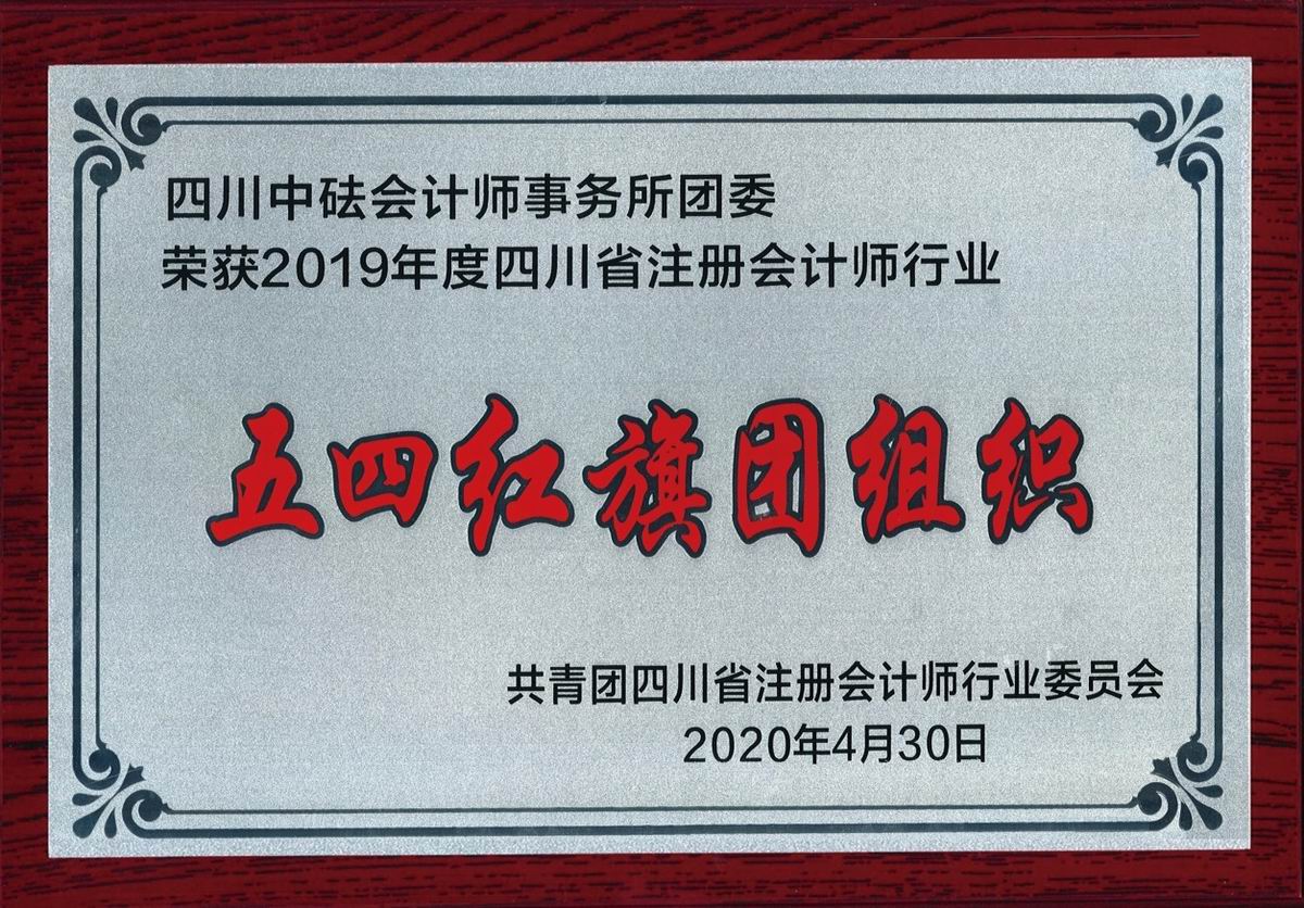 2019年度四川省注冊會計師行業(yè)“五四紅旗團(tuán)組織”